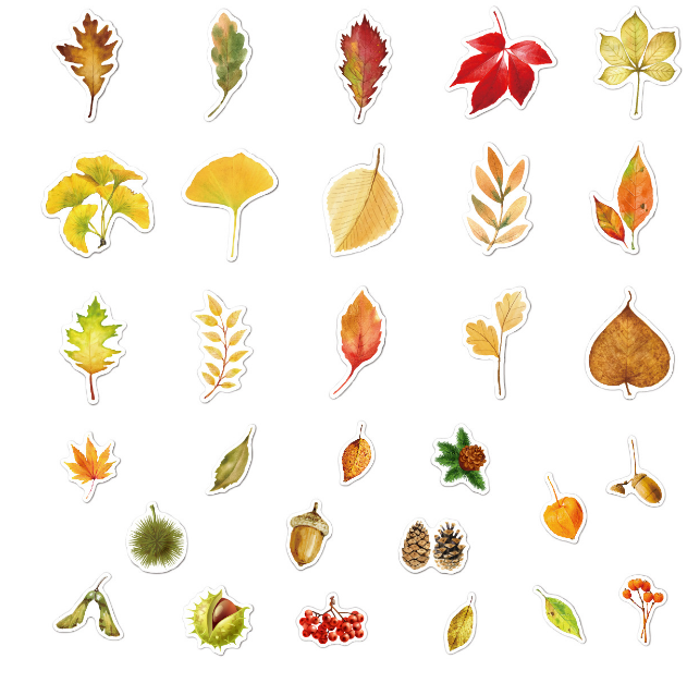 STICKERS 50pz Hojas Waterproof 29