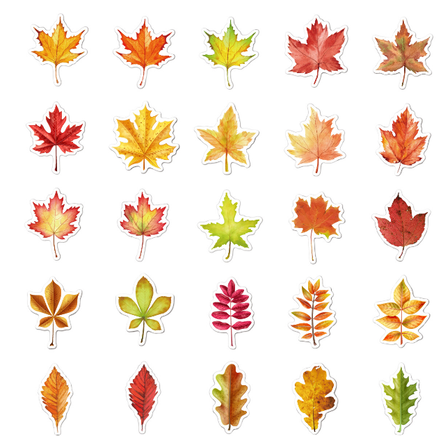 STICKERS 50pz Hojas Waterproof 29