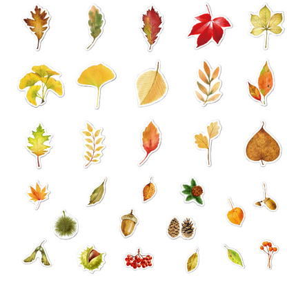 STICKERS 50pz Hojas Waterproof 29